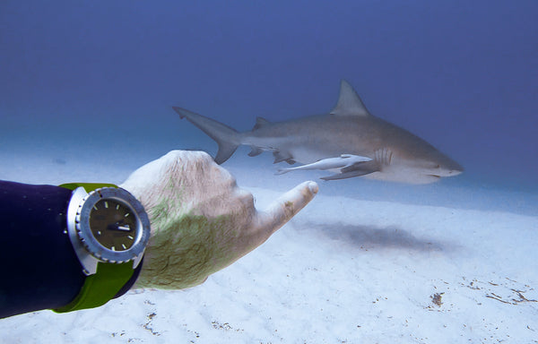 DOXA's Guide to Responsible Diving